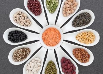 Everything You Need To Know About Legumes