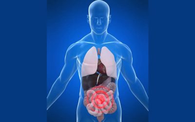 Detoxifying Major Body Organs