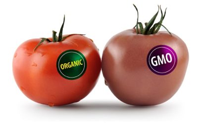 How To Avoid GM Foods?