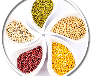 Protein in Beans & Legumes
