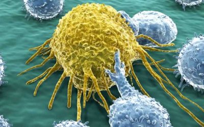 Let’s Understand a Little Bit About a Cancer Cell
