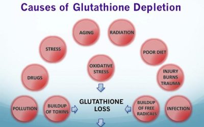 Glutathion Depletion