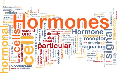 Hormonal Imbalances – DBM Protocol