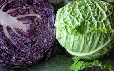 Green & Red Cabbage Sauerkraut