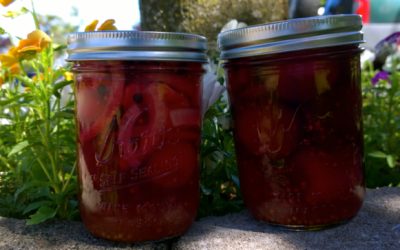 Spiced Pickled Beets