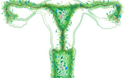 Vaginal Health & Flora
